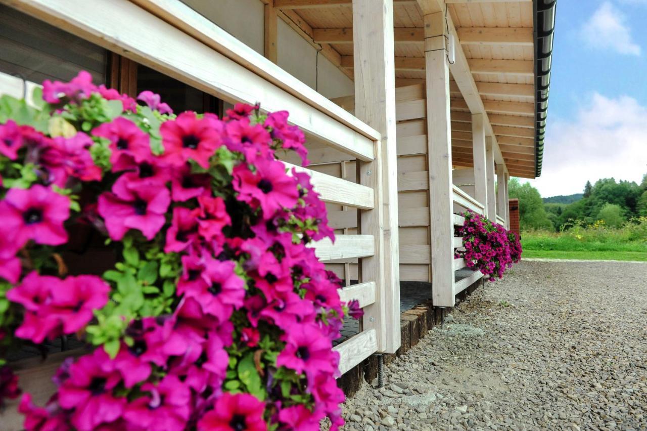 Swiety Spokoj Bieszczady 782-047-324 อุสชิกีดอลเน ภายนอก รูปภาพ