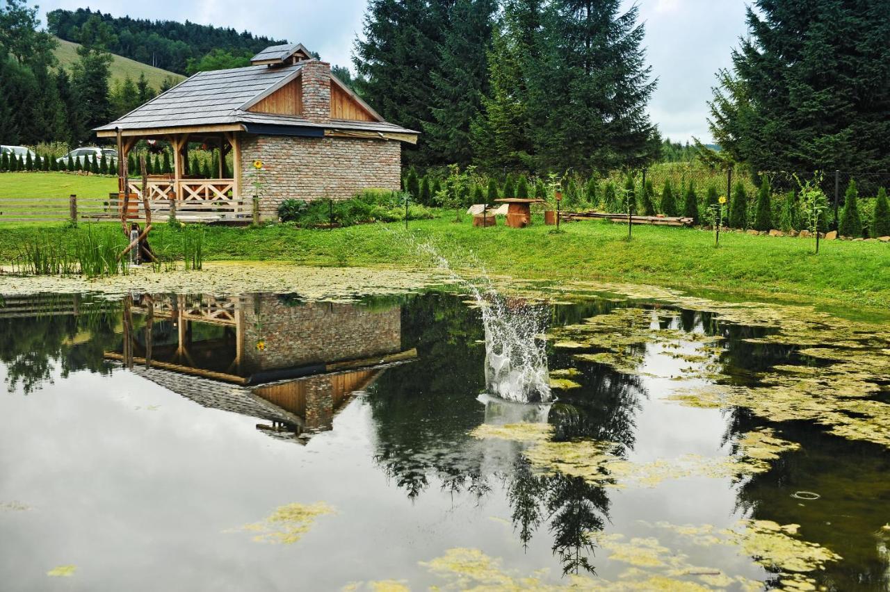 Swiety Spokoj Bieszczady 782-047-324 อุสชิกีดอลเน ภายนอก รูปภาพ